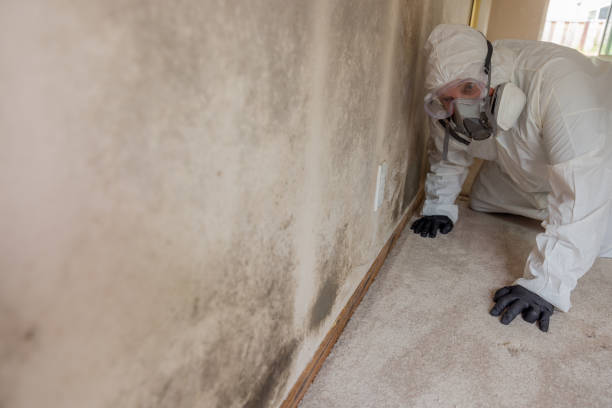 Forensic Mold Investigation in Lake Lure, NC